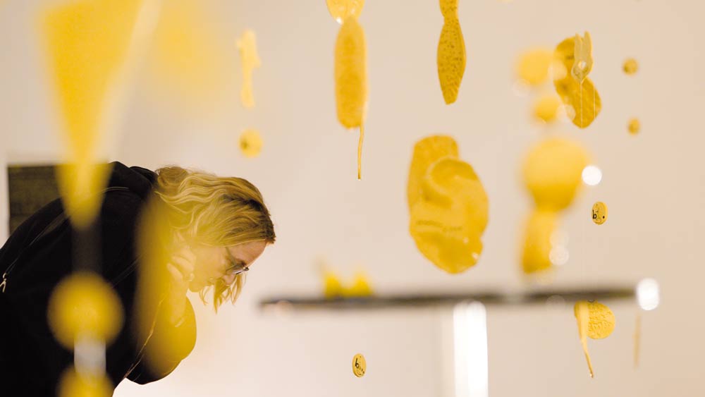 12 anos– visível e em movimento